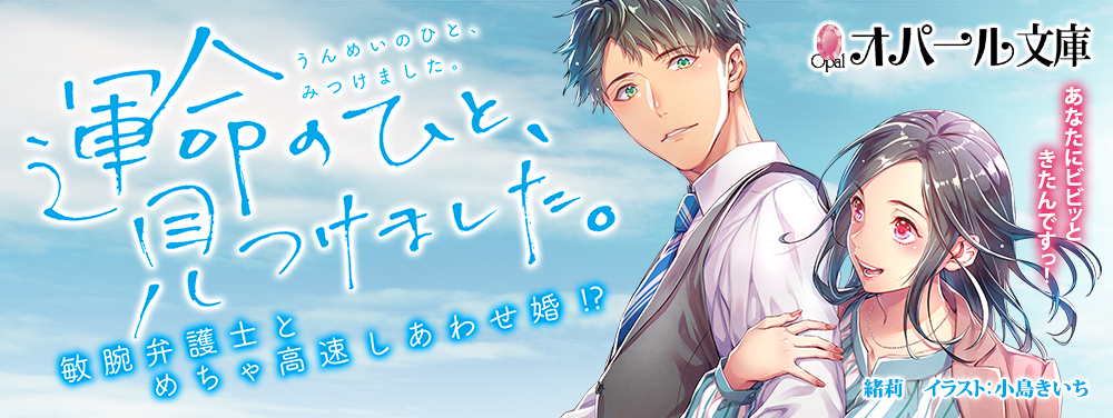 □専用□ TL小説 オパール文庫 まとめ売り 5冊 tl小説 恋愛小説 文学